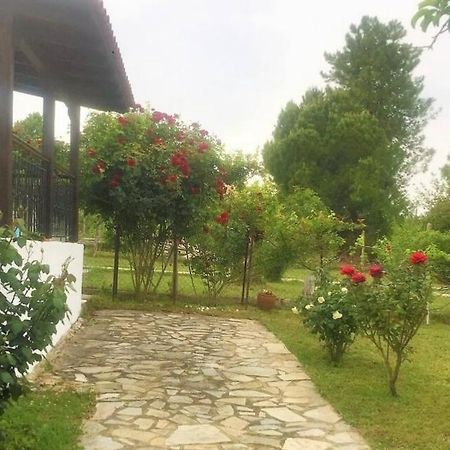 Katerina'S Holiday Home クリオピギ エクステリア 写真