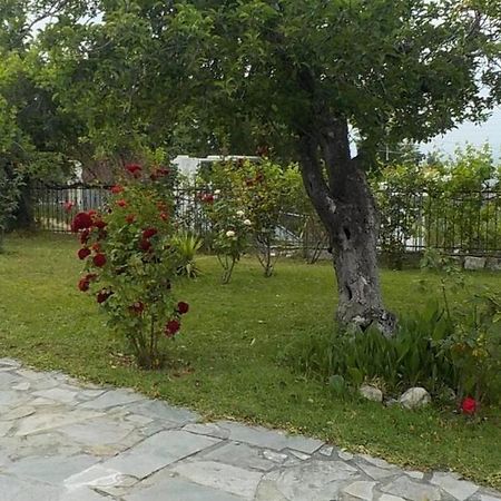 Katerina'S Holiday Home クリオピギ エクステリア 写真